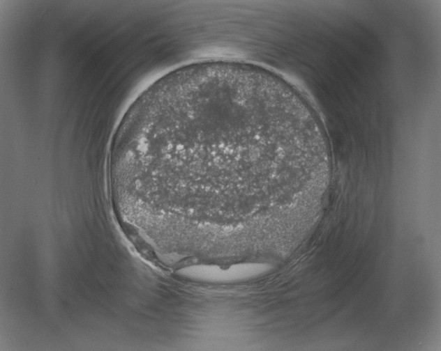 X0000080161295200701051555