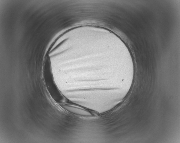 X0000080161296200701051555