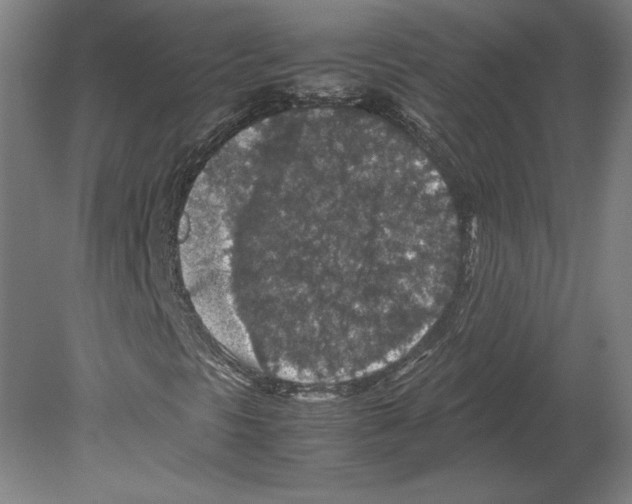 X0000080161297200701051555