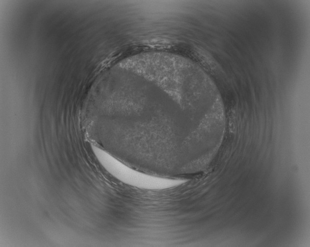 X0000080161298200701051555