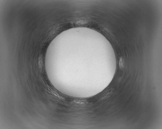 X0000080161299200701051555