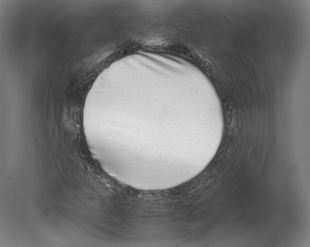 X0000080161301200701051555