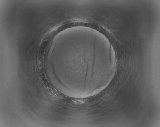 X0000080161303200701051555