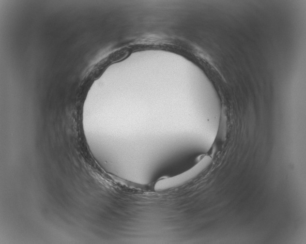 X0000080161304200701051555