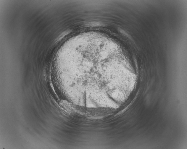 X0000080161305200701051555