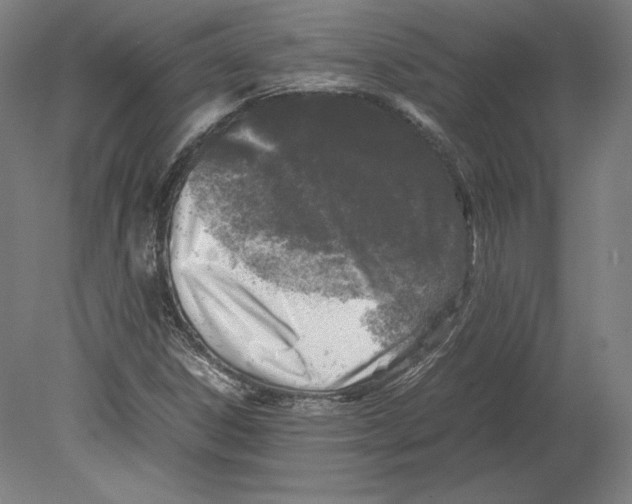 X0000080161306200701051555