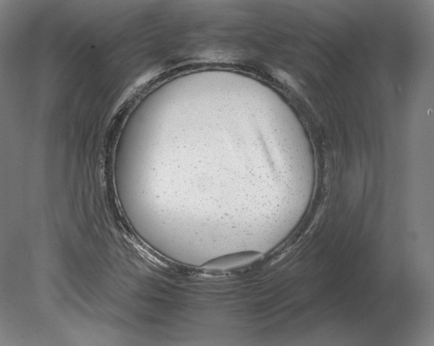 X0000080161307200701051555