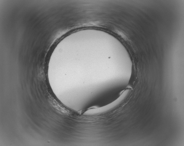 X0000080161308200701051555