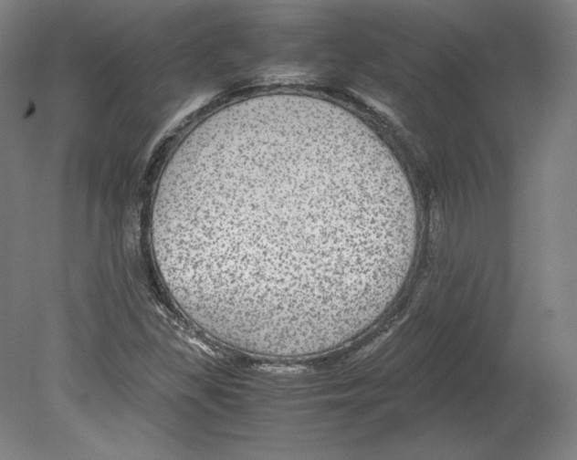 X0000080161309200701051555