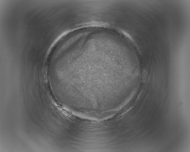 X0000080161310200701051555