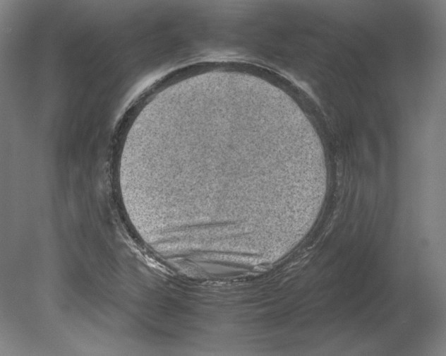 X0000080161311200701051555