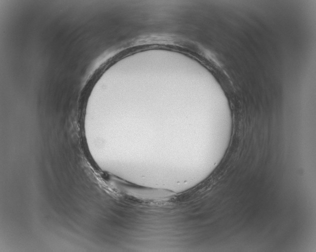 X0000080161312200701051555