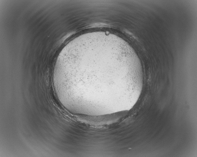 X0000080161313200701051555