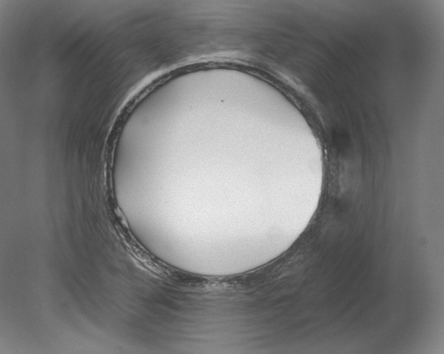 X0000080161316200701051555