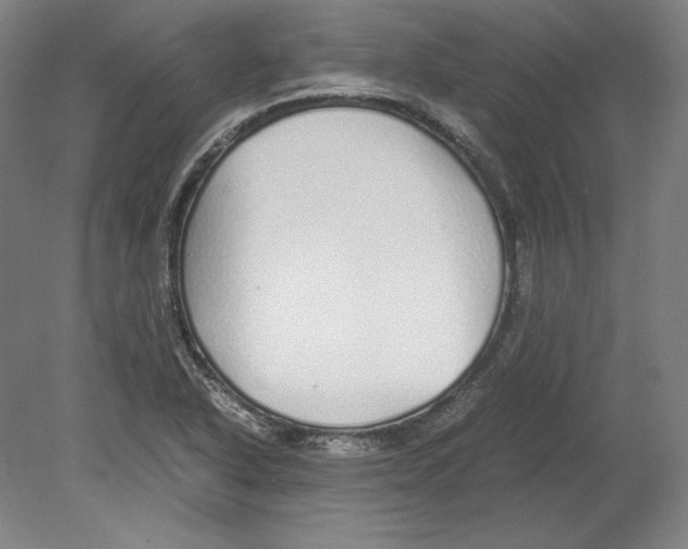 X0000080161318200701051555