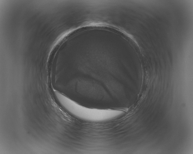 X0000080161319200701051555