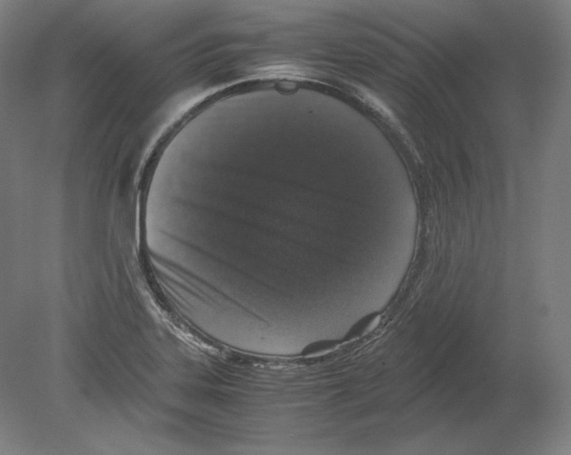 X0000080161323200701051555