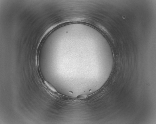 X0000080161324200701051555