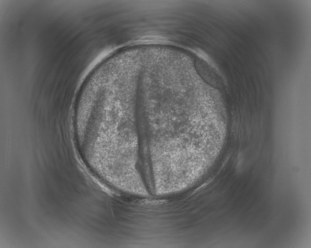 X0000080161325200701051555