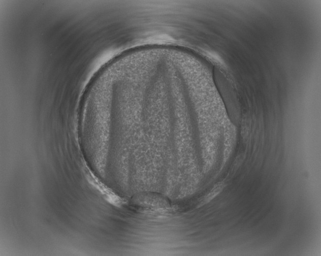 X0000080161326200701051555