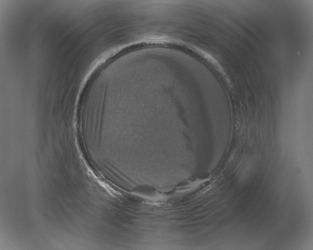 X0000080161327200701051555