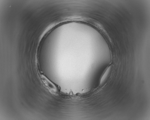 X0000080161328200701051555