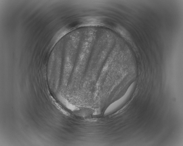 X0000080161329200701051555