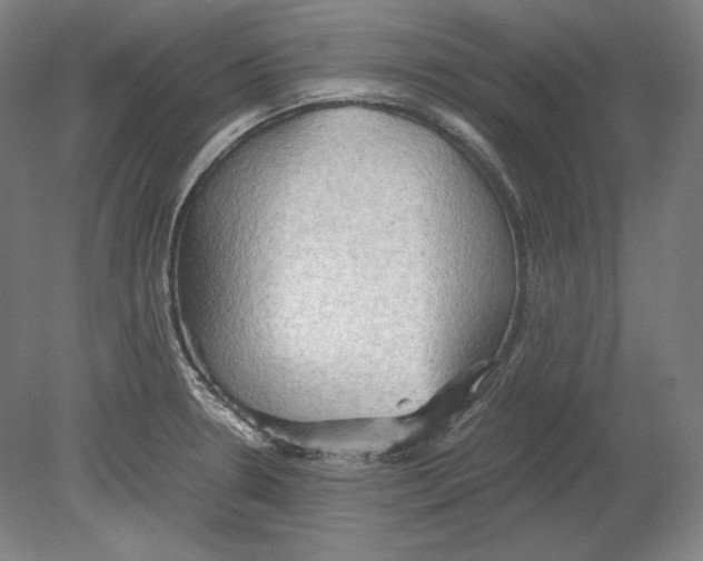 X0000080161330200701051555