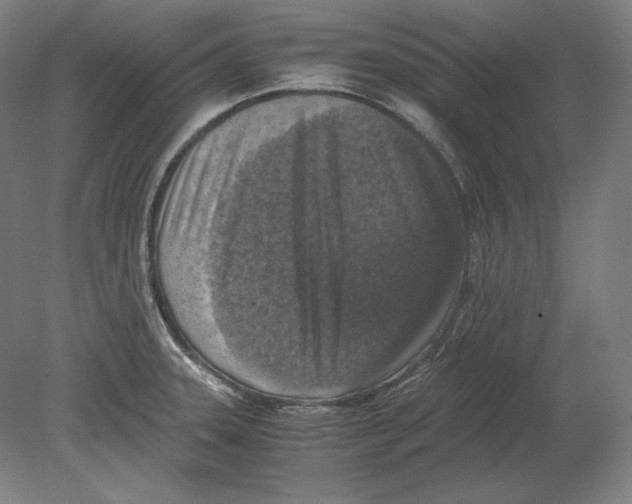 X0000080161331200701051555