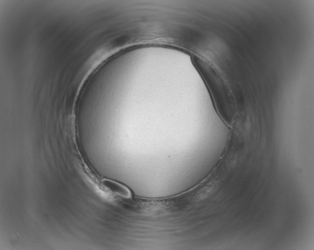 X0000080161332200701051555