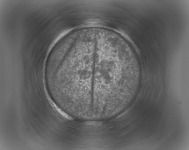 X0000080161333200701051555