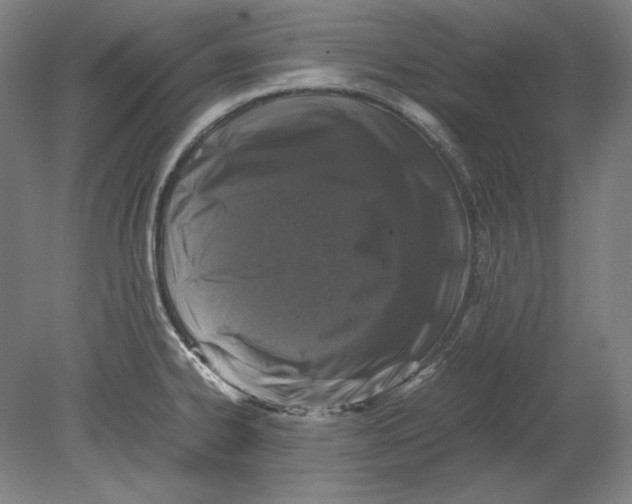 X0000080161334200701051555