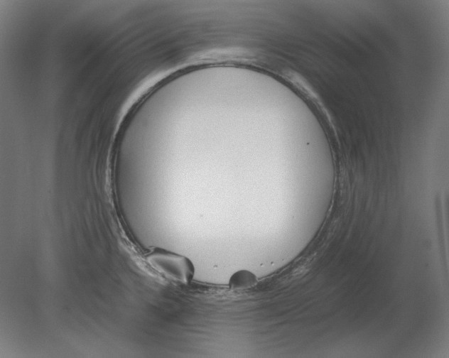 X0000080161336200701051555