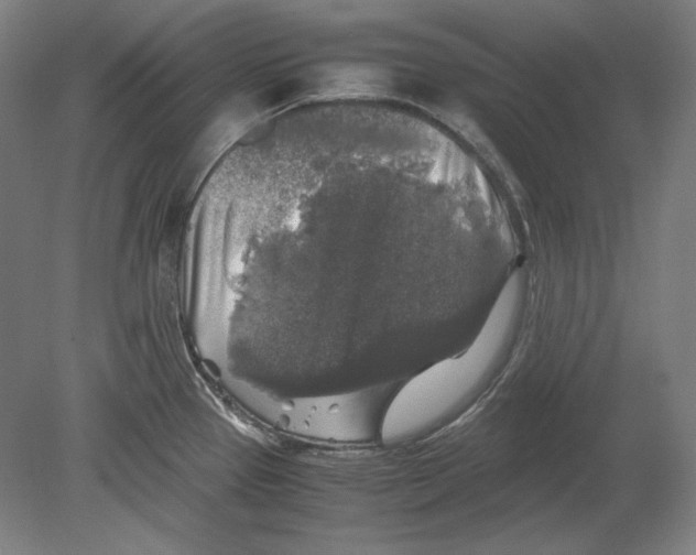 X0000080161337200701051555