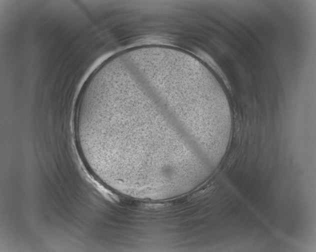 X0000080161339200701051555