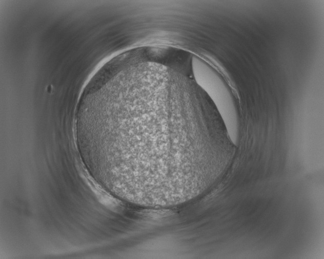 X0000080161340200701051555