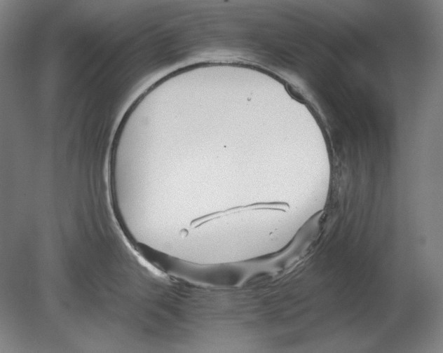 X0000080161343200701051555