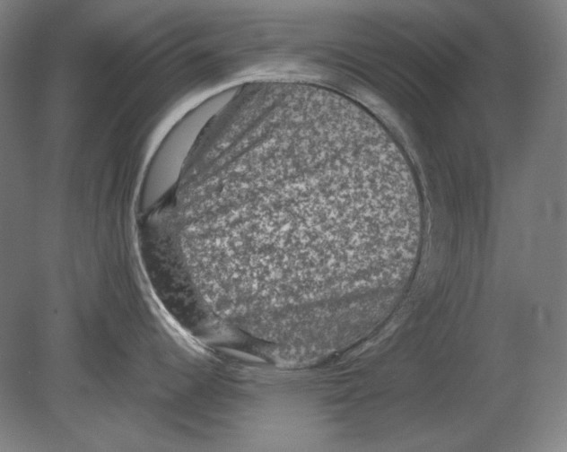 X0000080161344200701051555