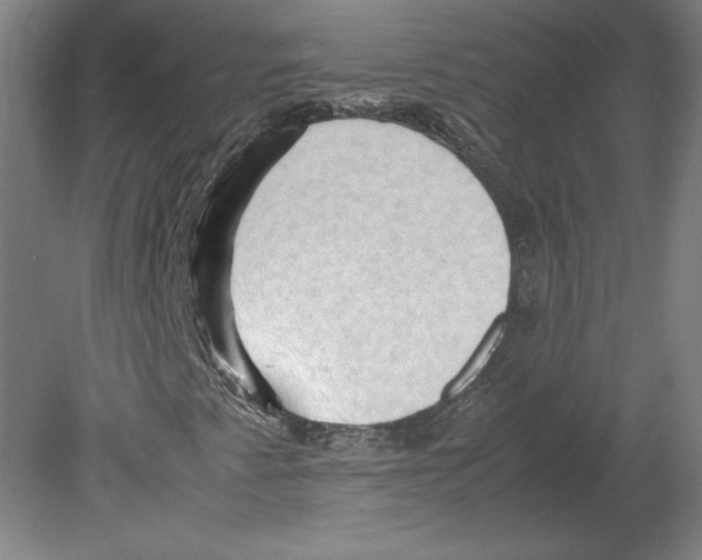 X0000080161345200701051555