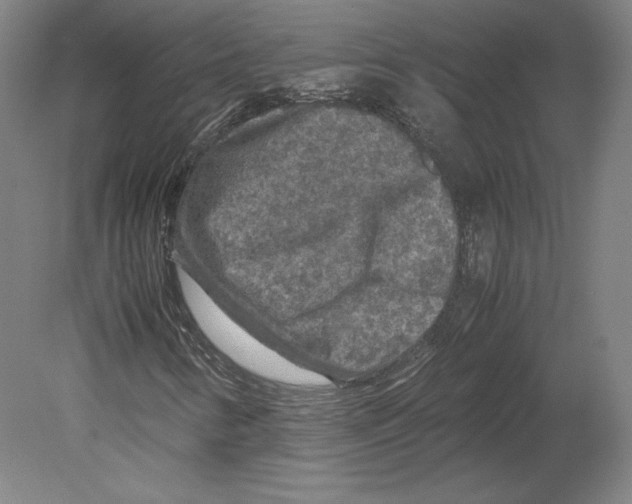 X0000080161346200701051555