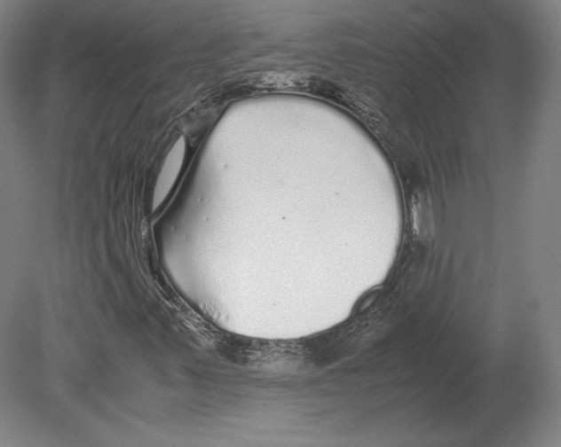 X0000080161347200701051555