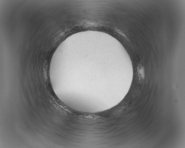 X0000080161348200701051554