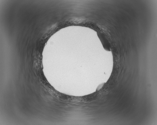 X0000080161349200701051554