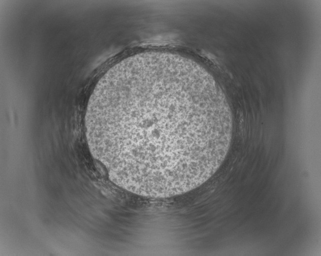 X0000080161350200701051554