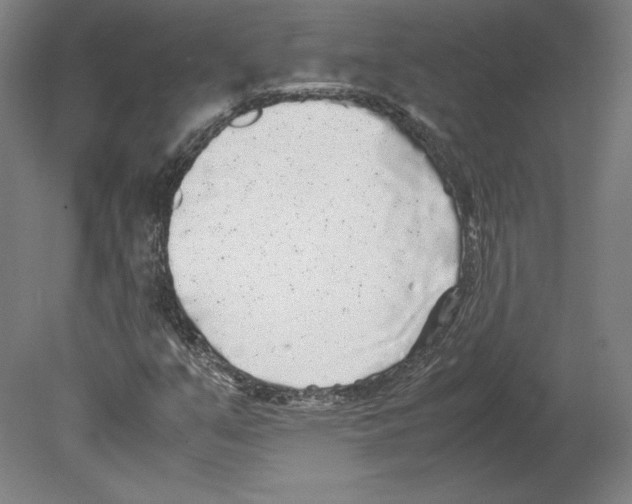 X0000080161351200701051554