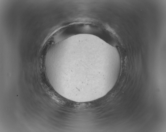 X0000080161352200701051554