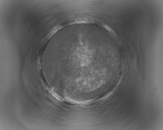 X0000080161353200701051554