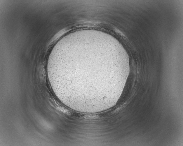 X0000080161354200701051554