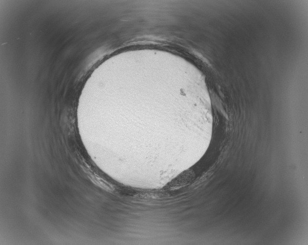 X0000080161355200701051554