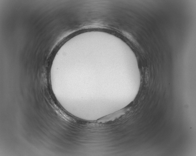 X0000080161356200701051554